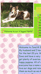 Mobile Screenshot of jandmshelties.com